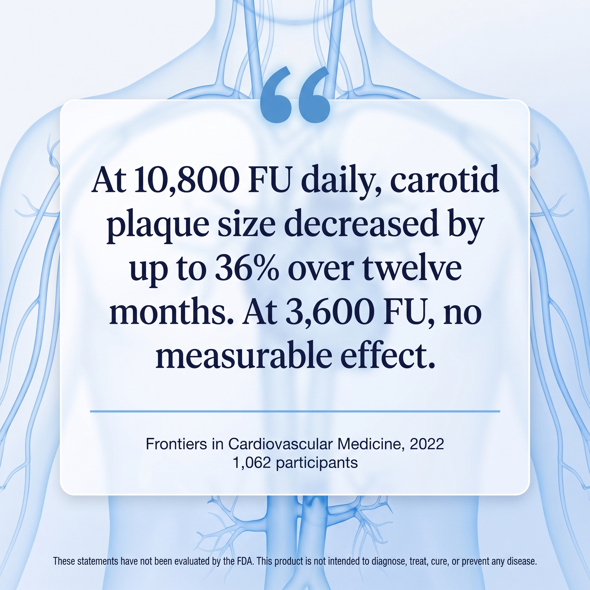 Cardiovascular Complex