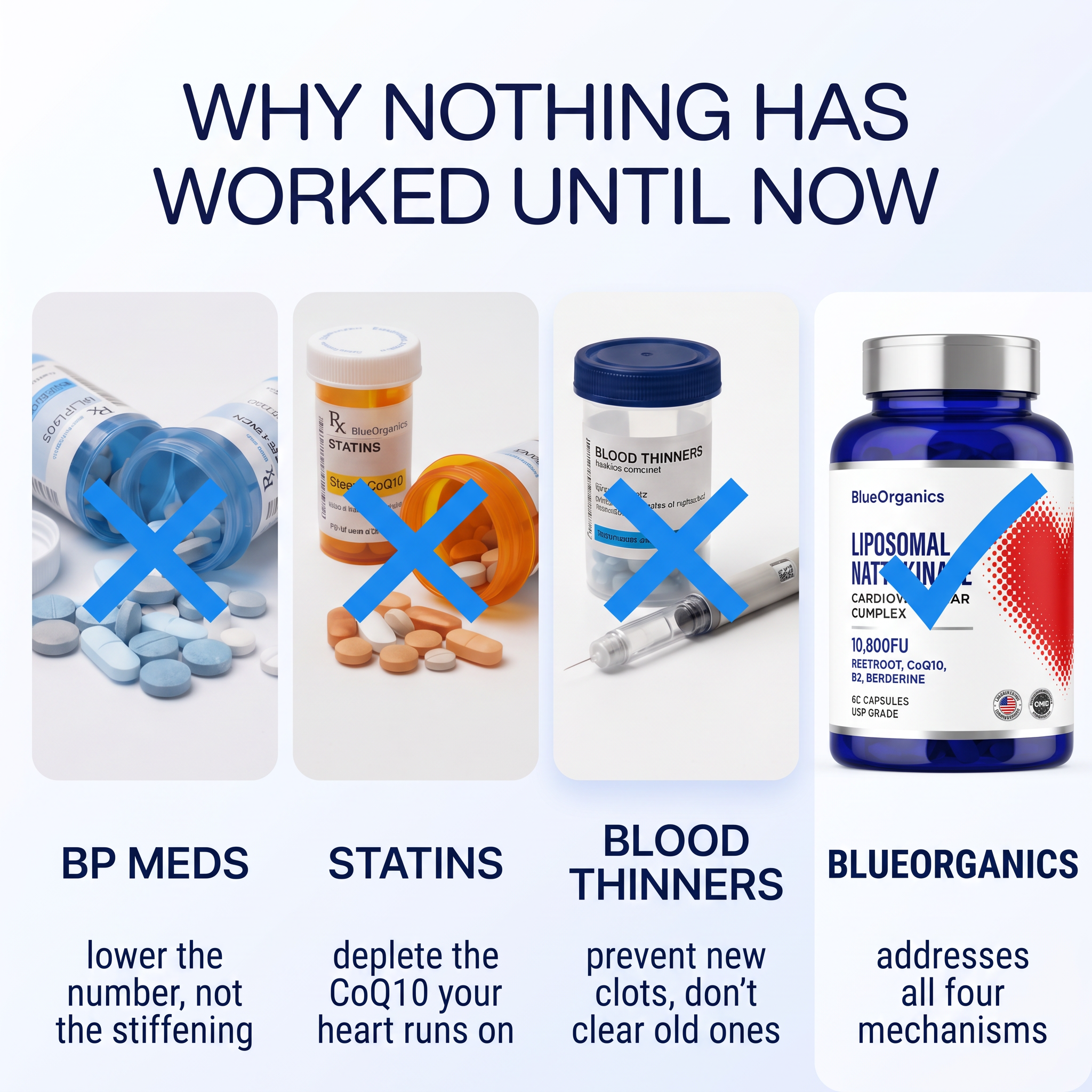 Cardiovascular Complex